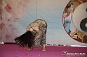 VBS_4627 - Festival dell'Oriente 2022